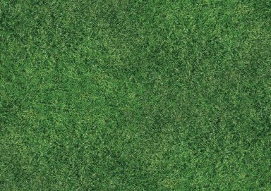 zur Produktübersicht Hier gelangst du zur Produktübersicht